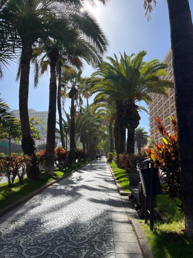 Estudio-Szl Puerto de la Cruz  Eksteriør billede