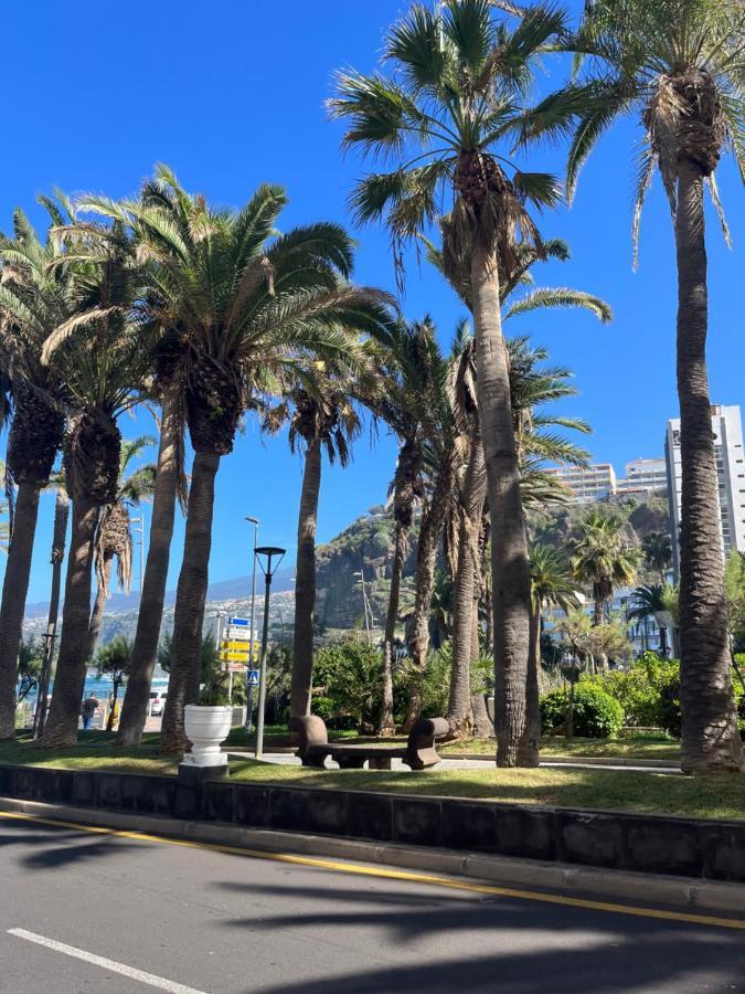 Estudio-Szl Puerto de la Cruz  Eksteriør billede